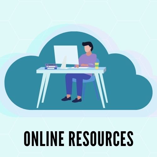 Online Resources - person sitting at computer desk