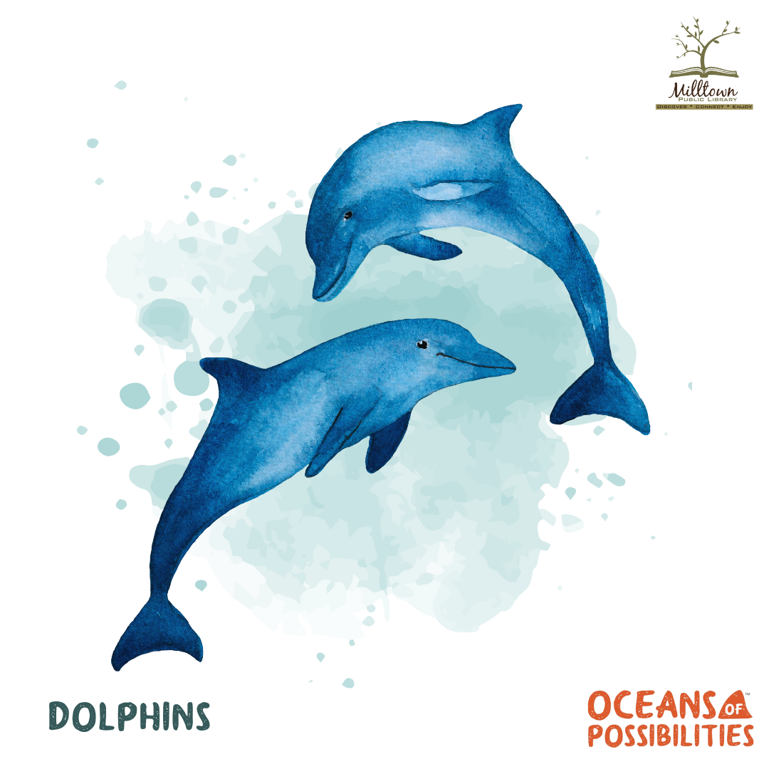 Dolphin Water color image