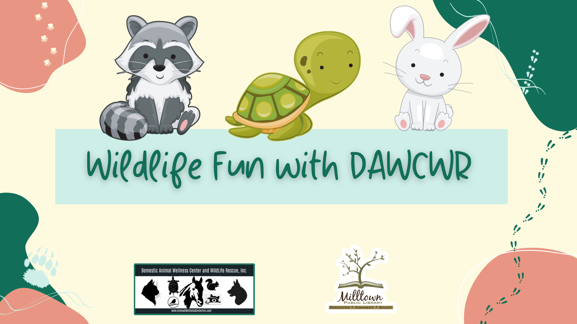 Image with raccoon, turtle and bunny illustrion including the text Wildlife Fun with DAWCWR